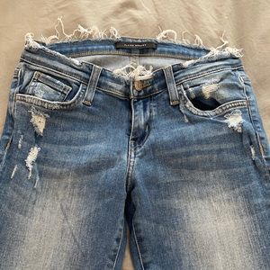 Flying Monkey Jeans